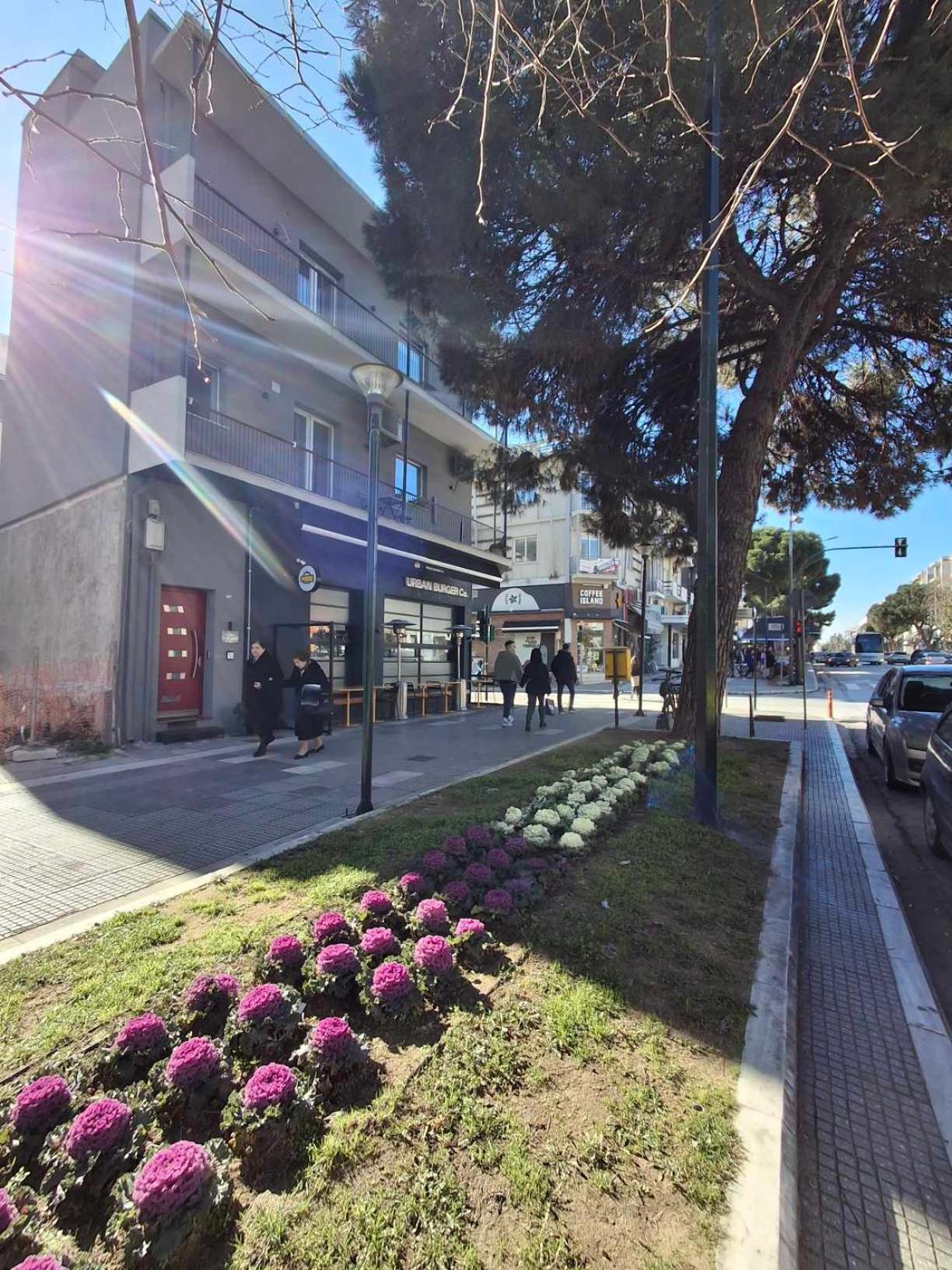 אלכסנדרופולי City Center Apartment 1 מראה חיצוני תמונה